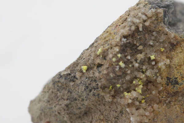 Rabbittite - Image 9