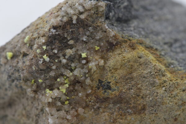 Rabbittite - Image 11