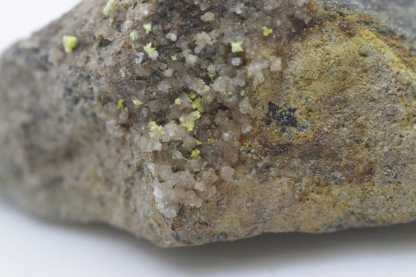 Rabbittite - Image 12