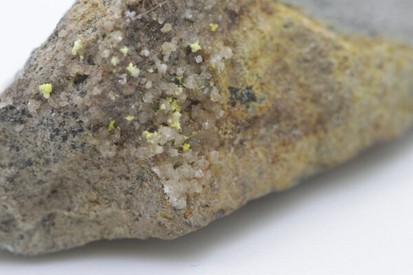 Rabbittite - Image 15