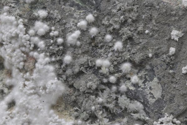 Picropharmacolite - Image 14