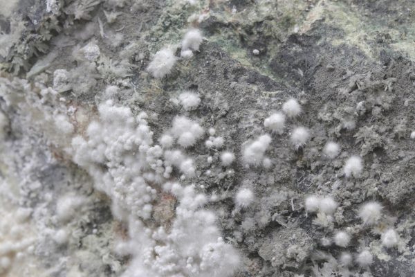 Picropharmacolite - Image 17