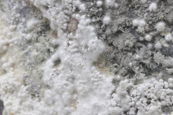 Picropharmacolite - Image 18
