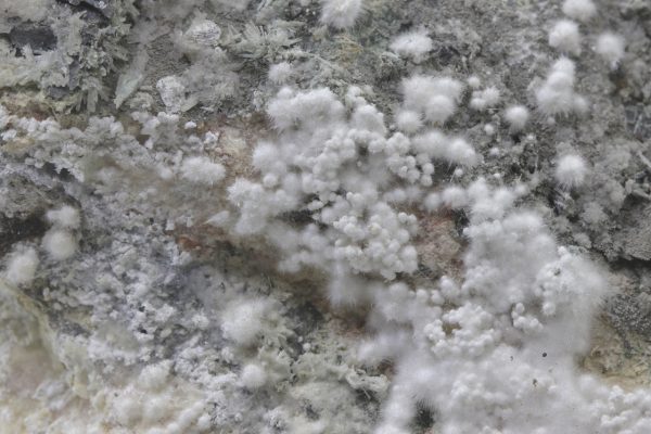Picropharmacolite - Image 20