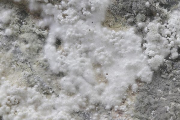 Picropharmacolite - Image 21