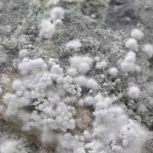 Picropharmacolite