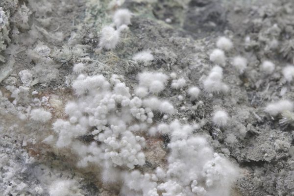 Picropharmacolite