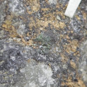 Goldmanite