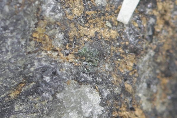 Goldmanite