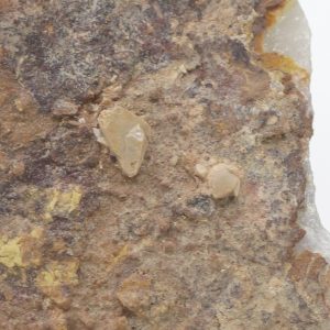 Wulfenite