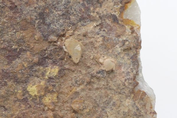 Wulfenite