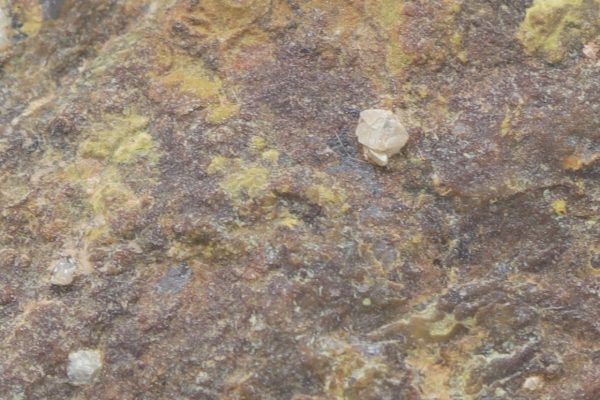 Wulfenite - Image 6