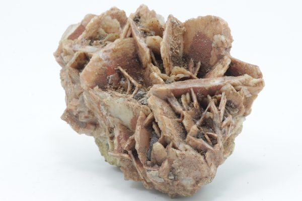 Baryte, fluorite - Image 2