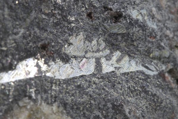 Bismuth - Image 7