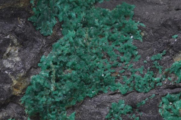 Euchroite - Image 6