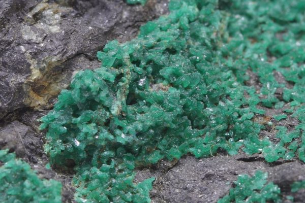 Euchroite - Image 9