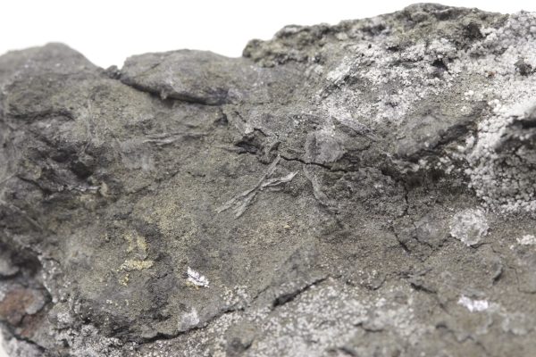 Brandholzite - Image 6
