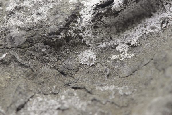 Brandholzite - Image 8