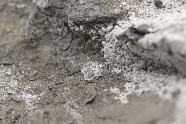 Brandholzite - Image 9