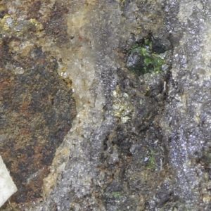 Goldmanite