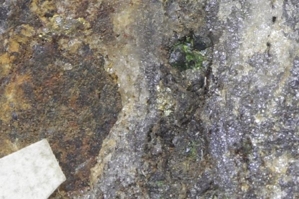 Goldmanite