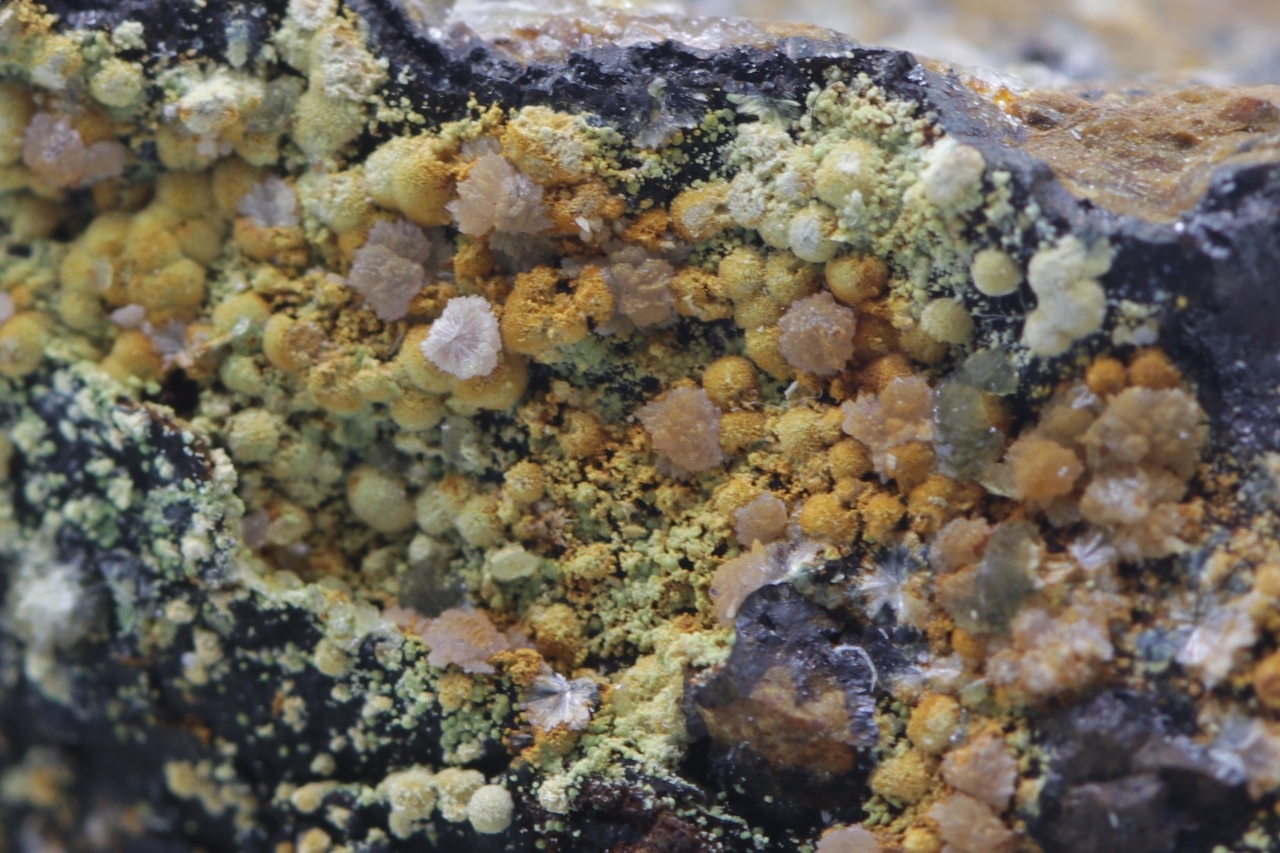 Meurigite