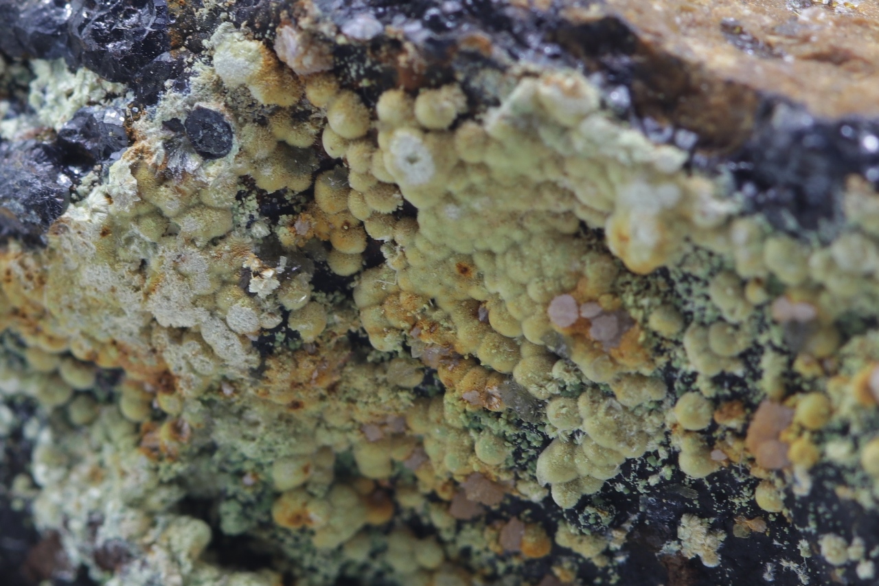 Meurigite - Image 10