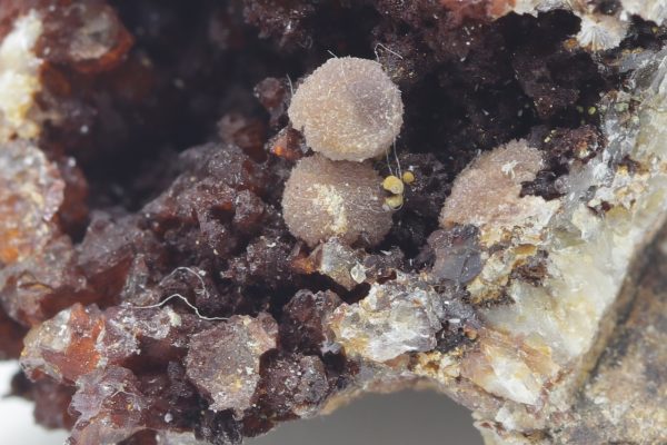 Strengite - Image 6