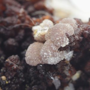 Strengite