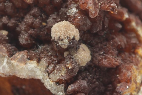Strengite - Image 8