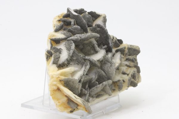 Calcite, pyrite - Image 2