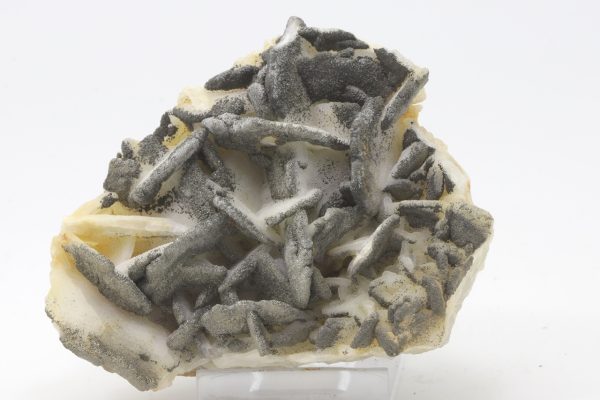 Calcite, pyrite