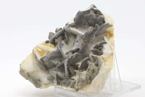 Calcite, pyrite - Image 4