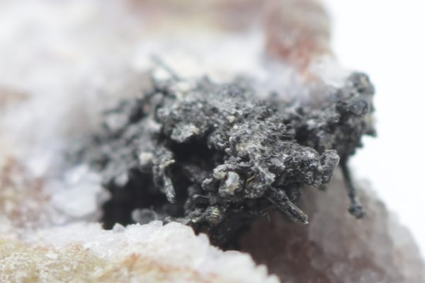 Arsenic - Image 8