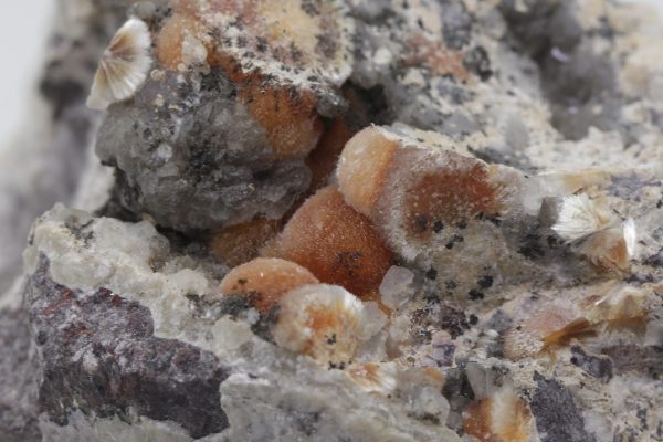 Ferrierite - Image 5