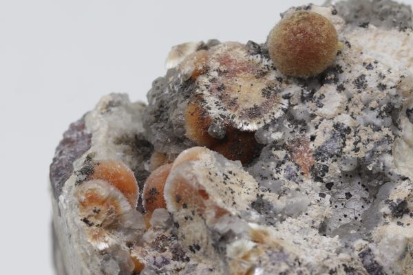 Ferrierite - Image 6