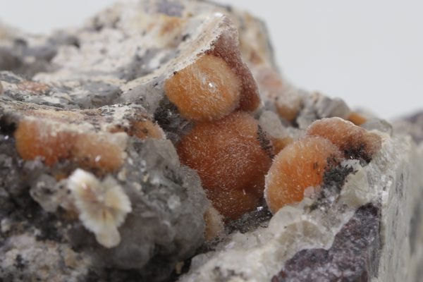 Ferrierite