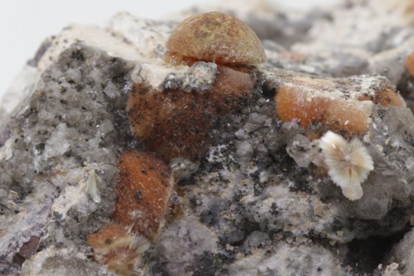 Ferrierite - Image 8