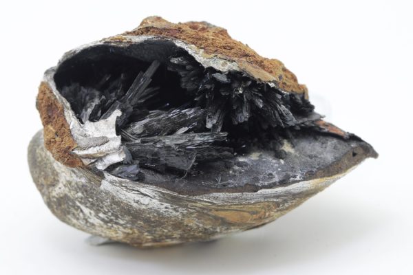 Vivianite - Image 4