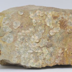 Wavellite