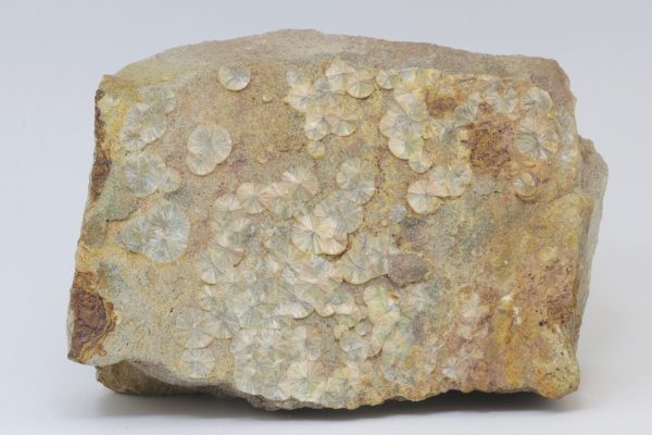 Wavellite