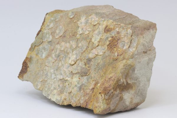 Wavellite - Image 3