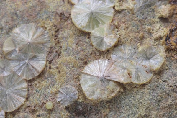 Wavellite - Image 5