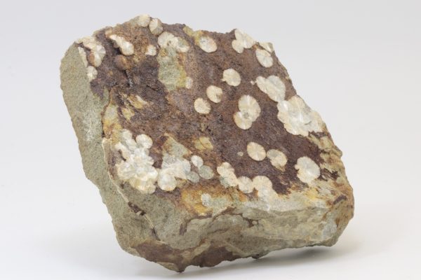 Wavellite - Image 2