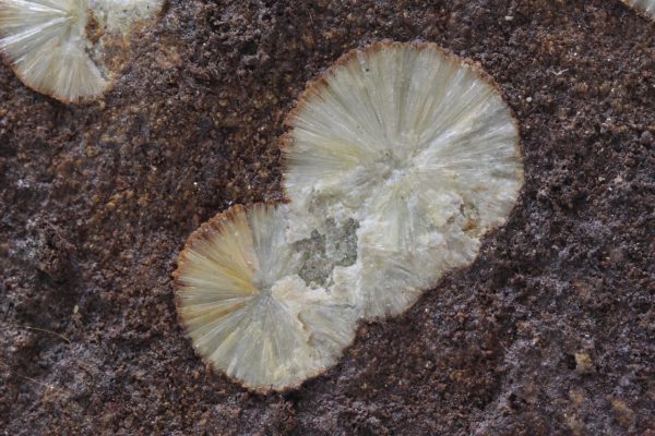 Wavellite - Image 6