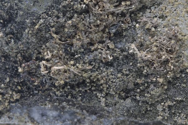 Silver - Image 7
