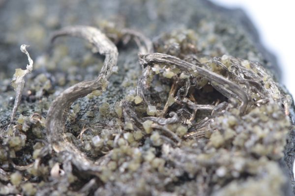 Silver - Image 8