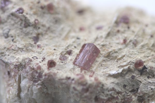Elbaite, muscovite, albite - Image 8