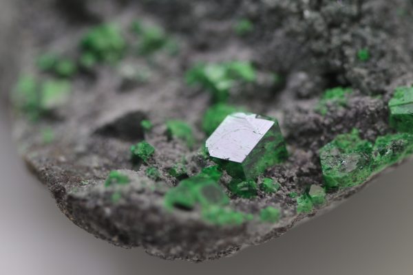 Uvarovite, titanite - Image 12