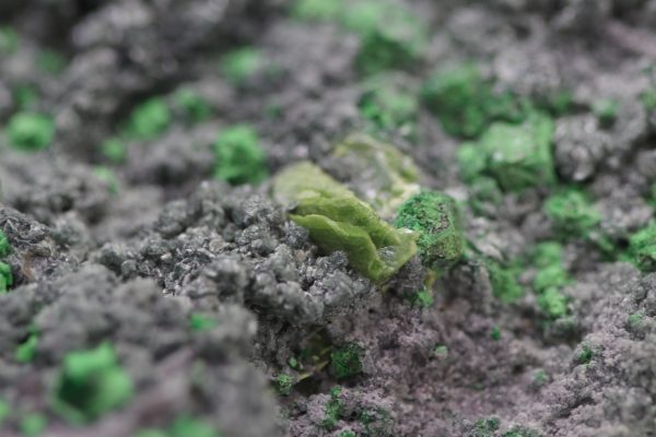 Uvarovite, titanite - Image 14
